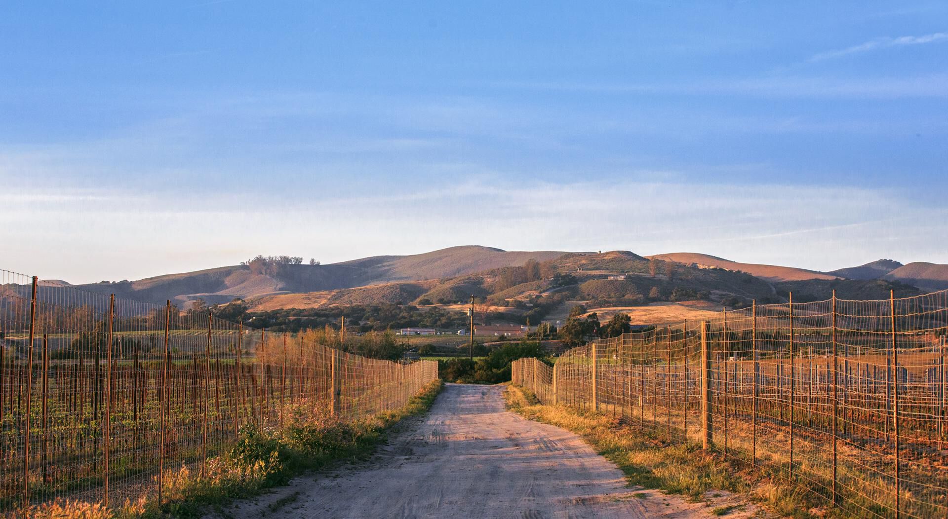 Hapgood Vineyard