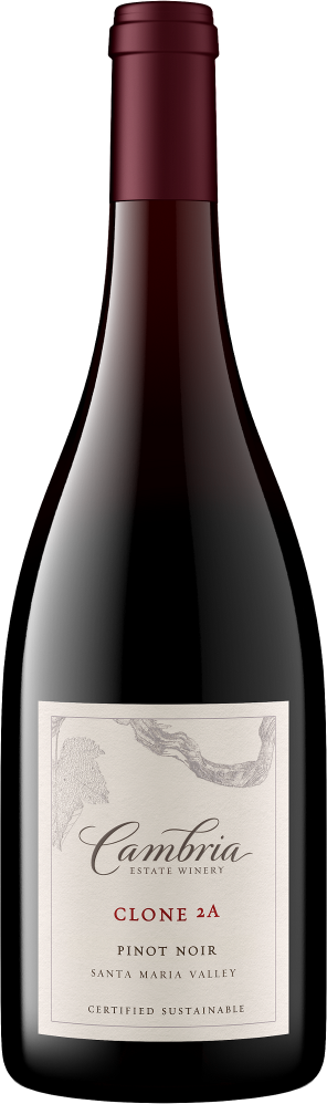Clone 2A Pinot Noir