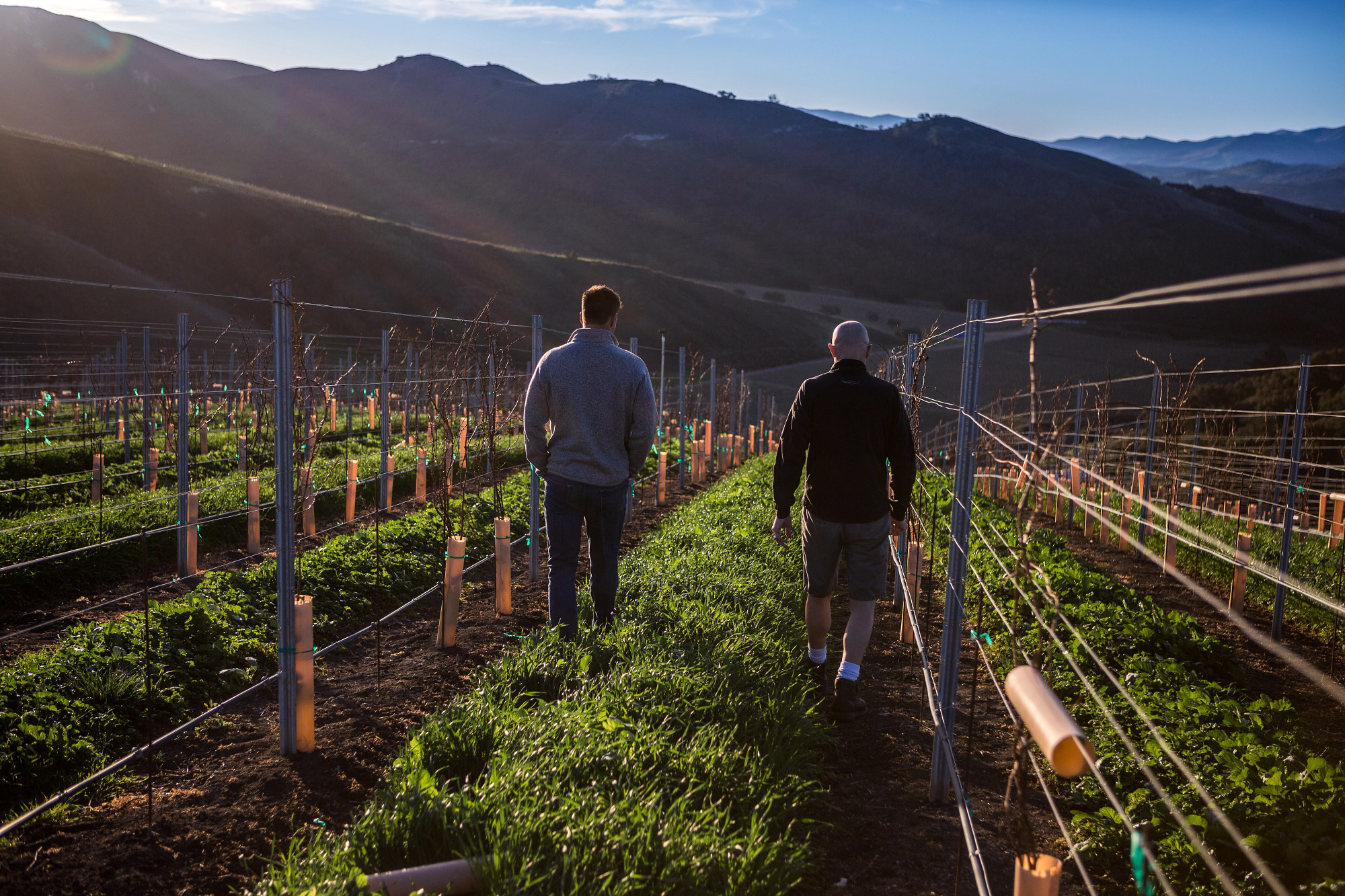 Sta. Rita Hills Chardonnay