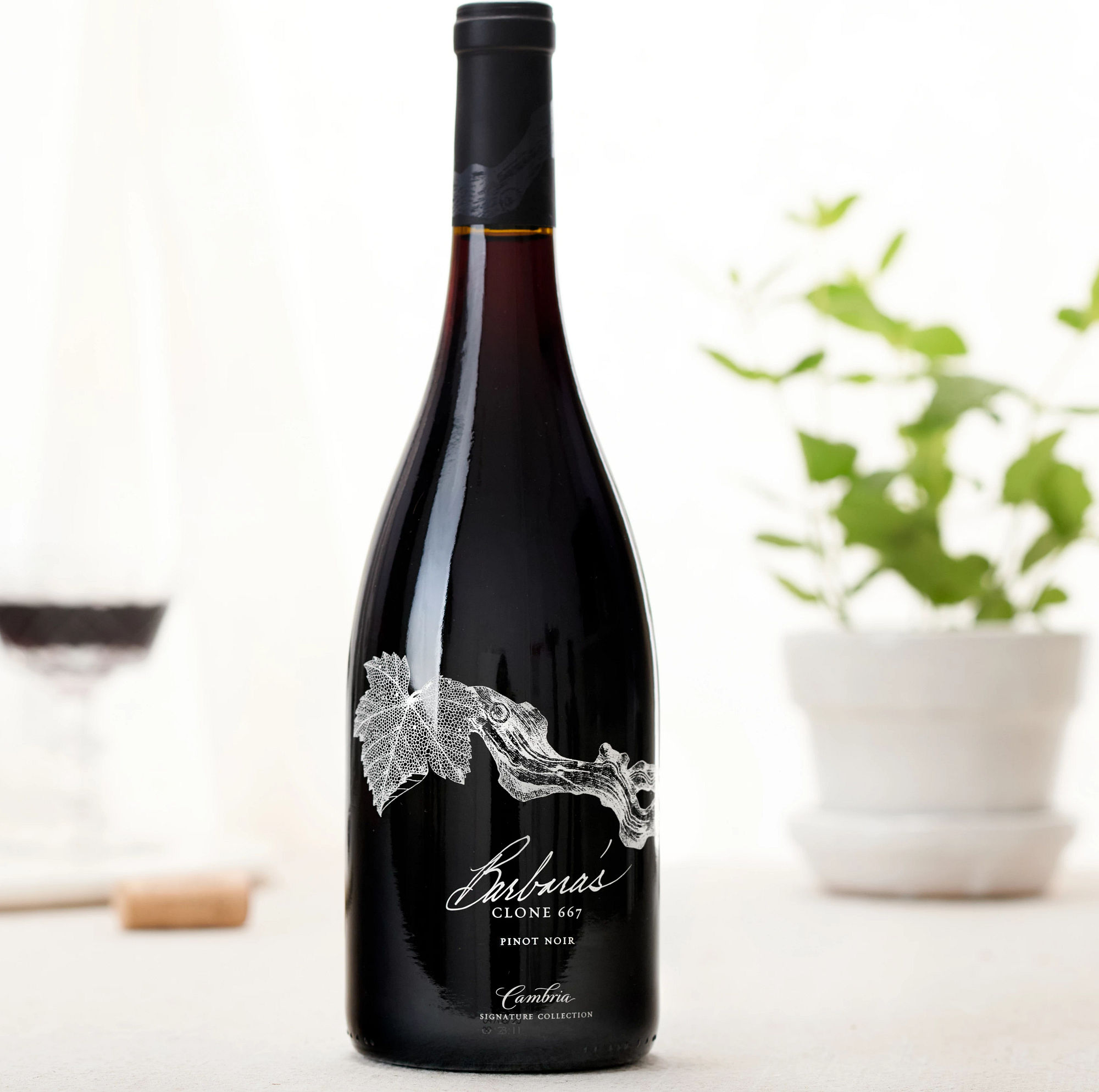 Barbara's Signature Collection Clone 667 Pinot Noir