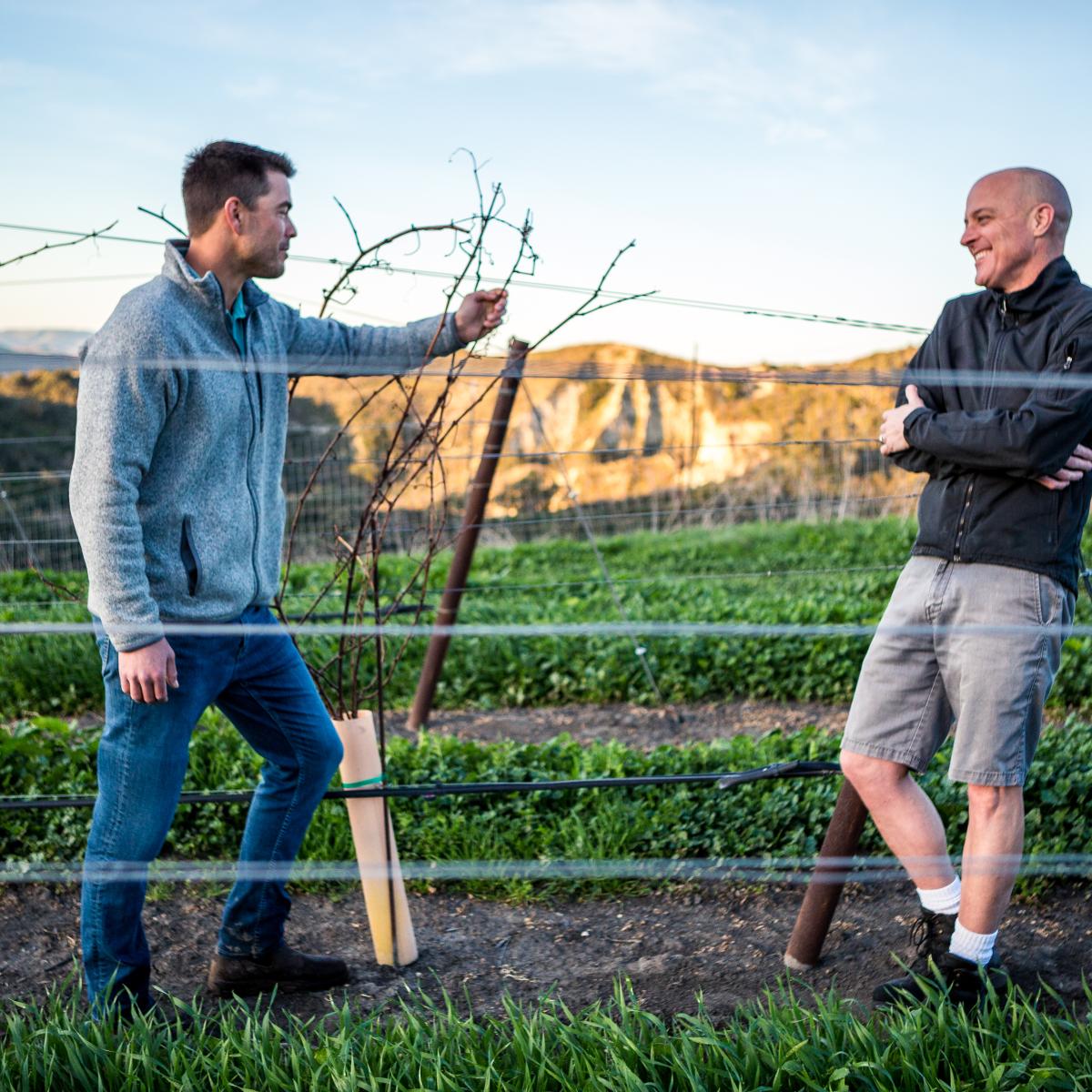 Greg and Peter in vineyard 