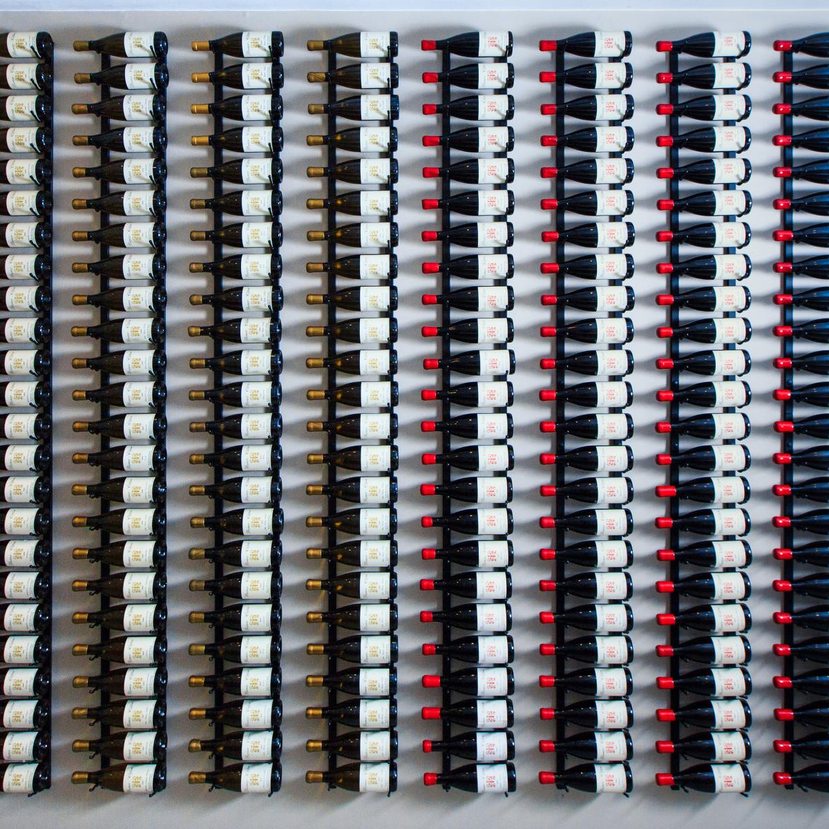 Winery wall with wine bottles