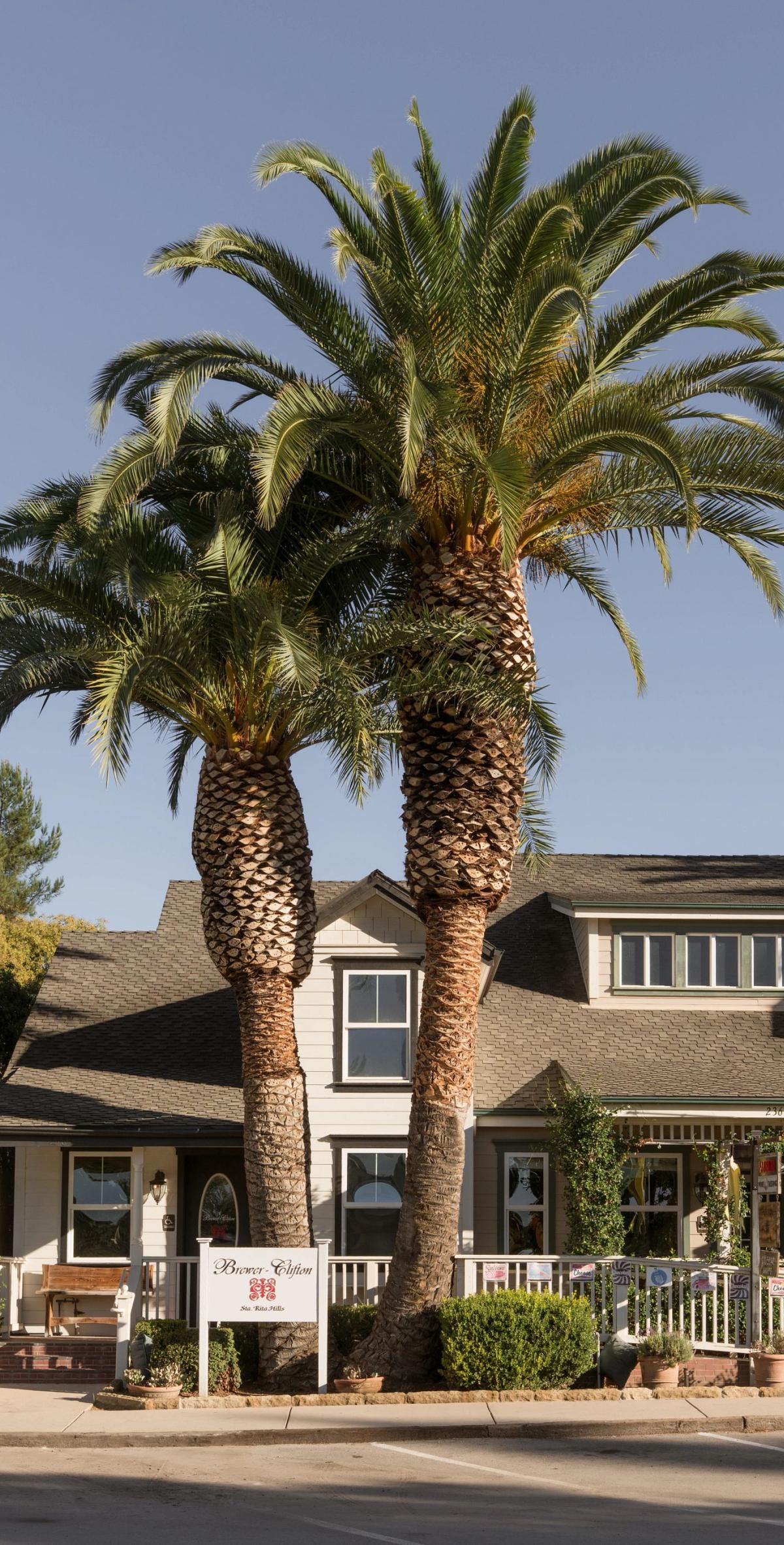 Brewer-Clifton Tasting Room