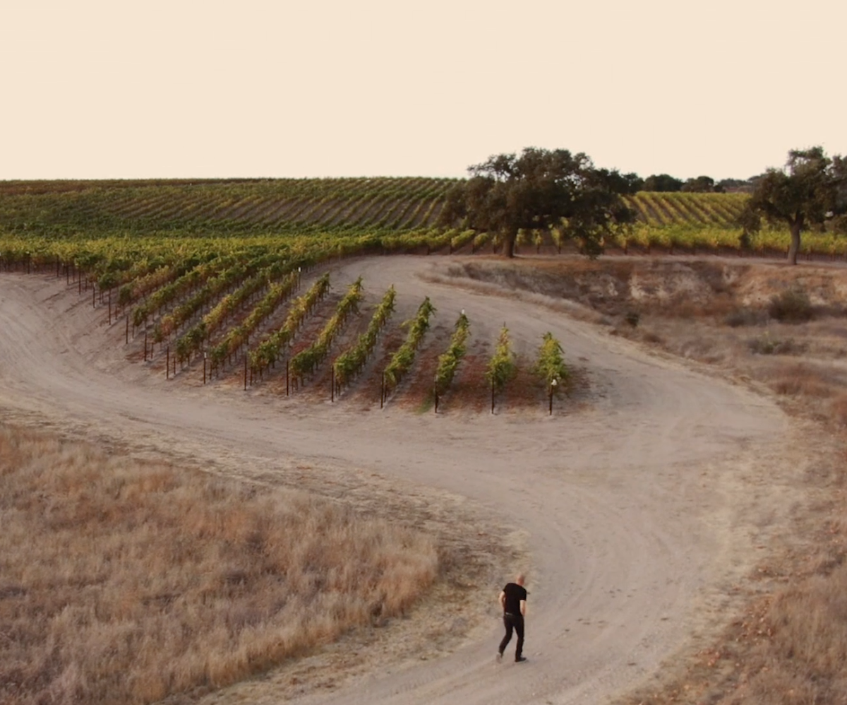 Bar-M Vineyard in Santa Barbara County 